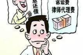 滨湖讨债公司